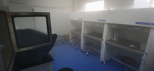 麗江學(xué)校除甲醛